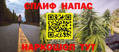 индика Аргун