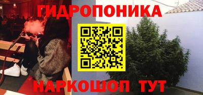 крисы Гусь-Хрустальный