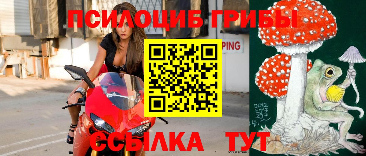 Псилоцибиновые грибы GOLDEN TEACHER  Северобайкальск 