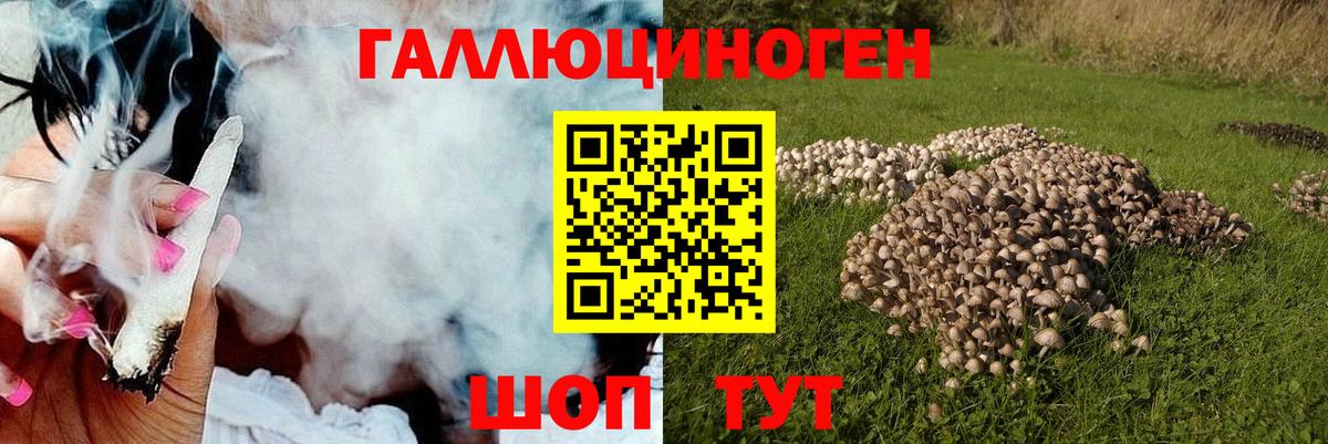 Галлюциногенные грибы Psilocybine cubensis  Псилоцибиновые грибы Psilocybe  Северобайкальск  Вход с VPN 